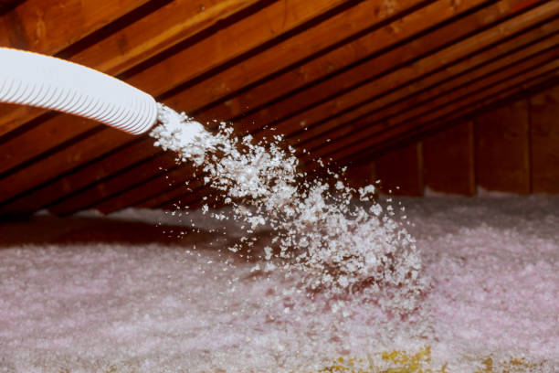 Best Geographic-Specific Insulation Services in Pinch, WV